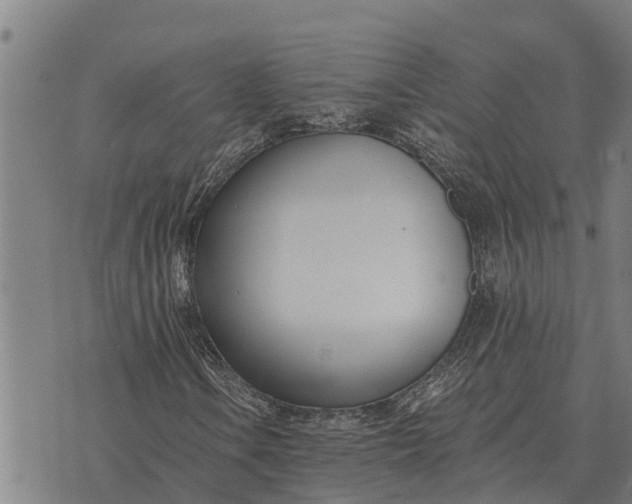 X0000073901106200609011711