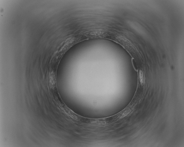 X0000073901107200609011711