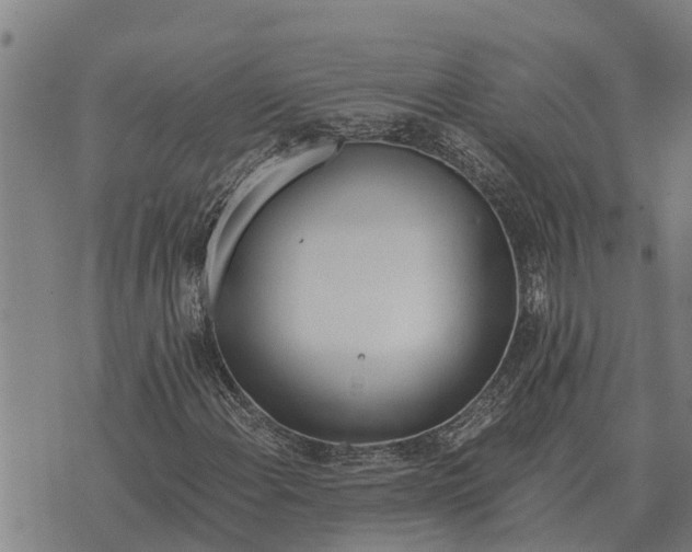 X0000073901108200609011711