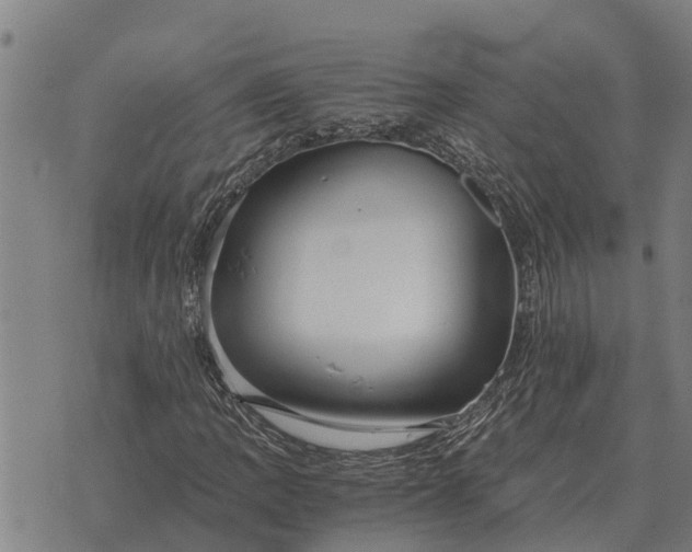 X0000073901109200609011711