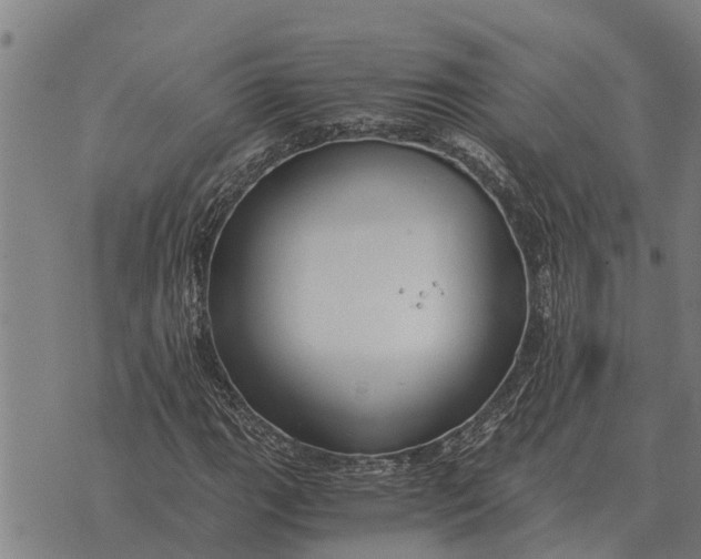 X0000073901111200609011711