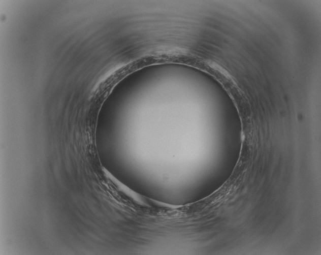 X0000073901112200609011711