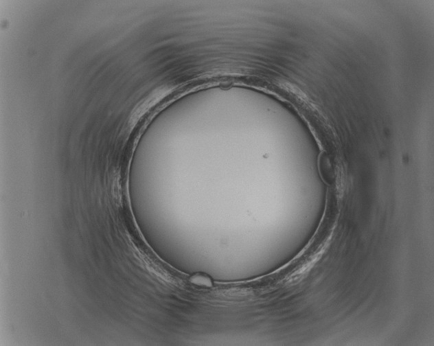 X0000073901113200609011711