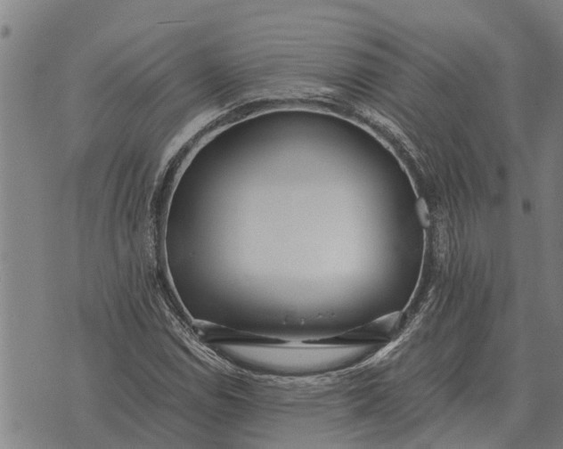 X0000073901114200609011711