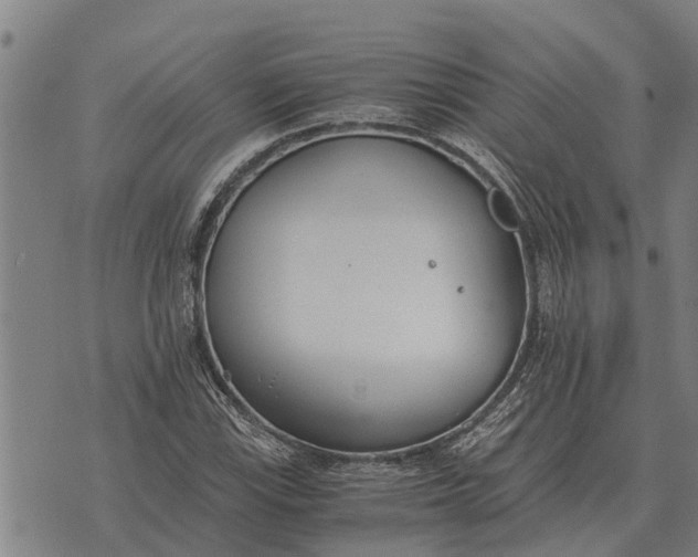 X0000073901115200609011711