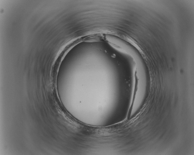 X0000073901116200609011711