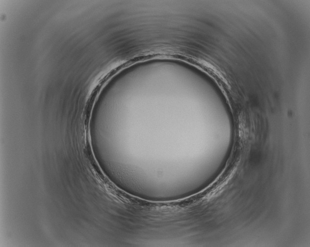 X0000073901117200609011711