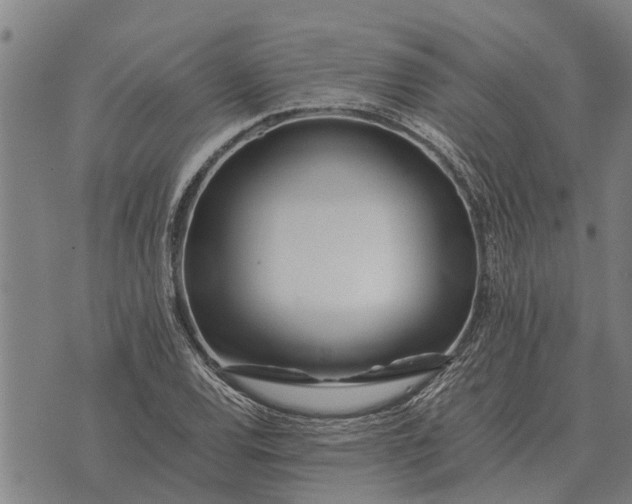 X0000073901120200609011711