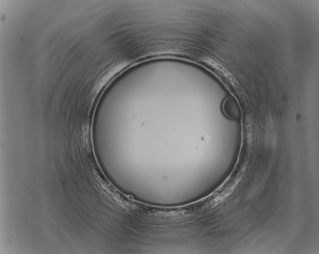 X0000073901121200609011711