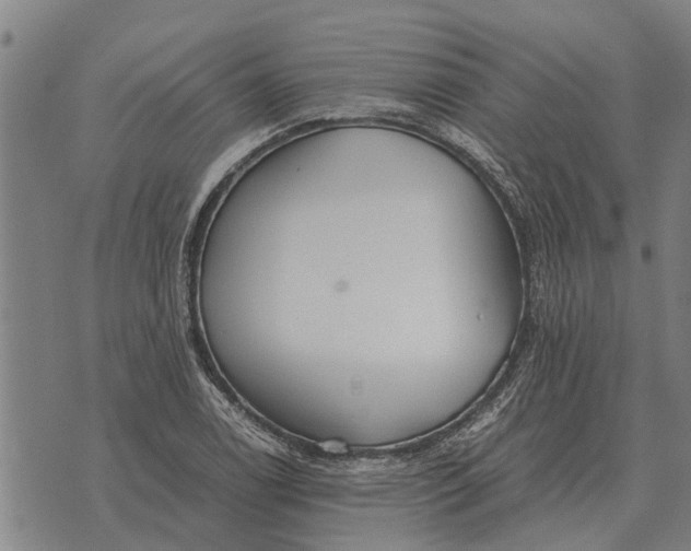 X0000073901122200609011711