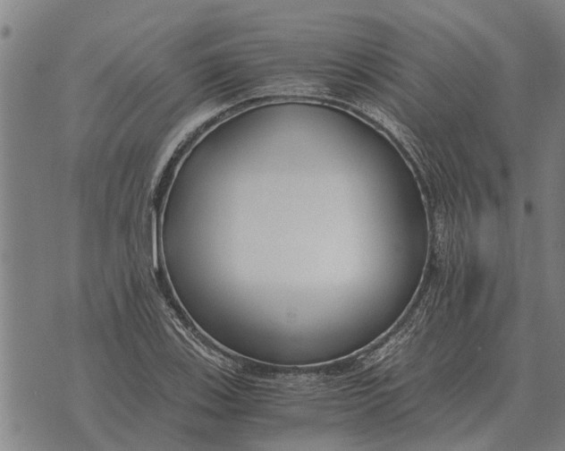 X0000073901123200609011711