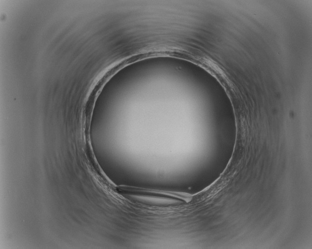 X0000073901124200609011711