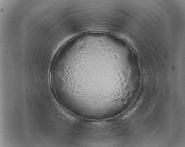 X0000073901125200609011711