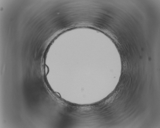 X0000073901126200609011711