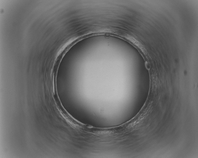 X0000073901127200609011711