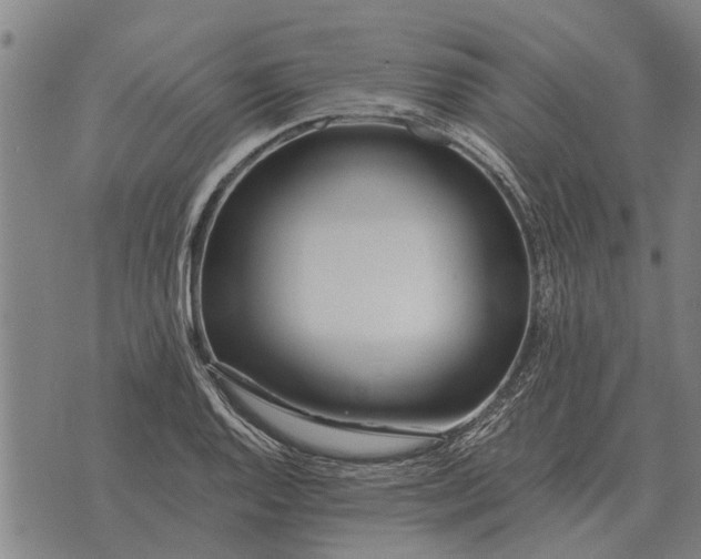 X0000073901128200609011711