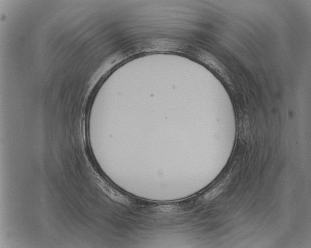 X0000073901130200609011711