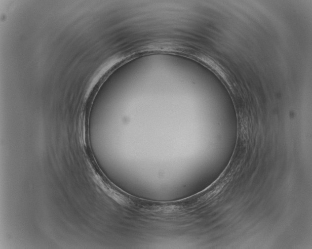 X0000073901131200609011711