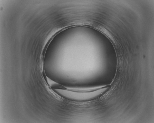 X0000073901132200609011712