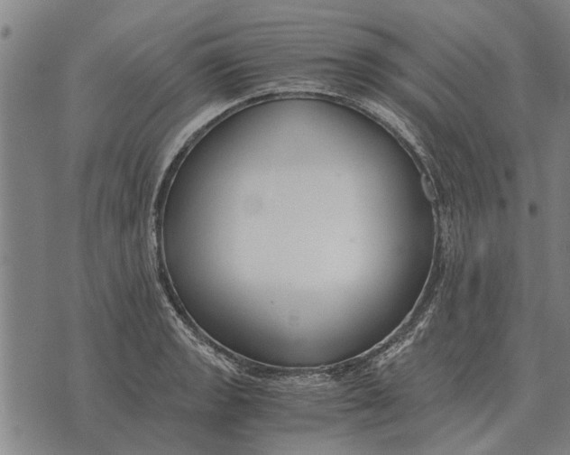 X0000073901133200609011712