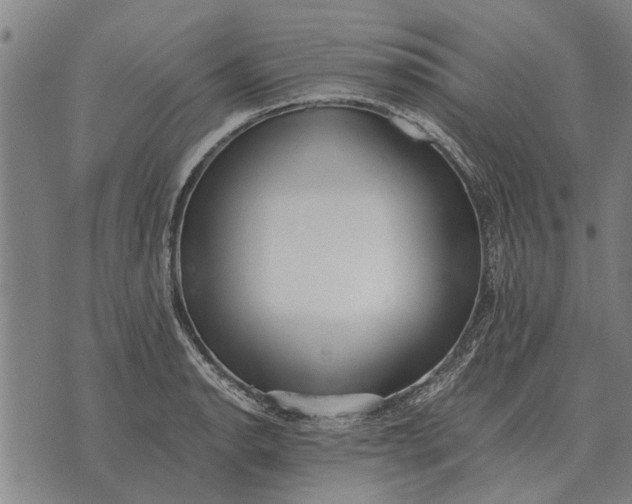 X0000073901134200609011712