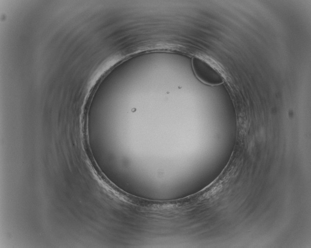 X0000073901135200609011712