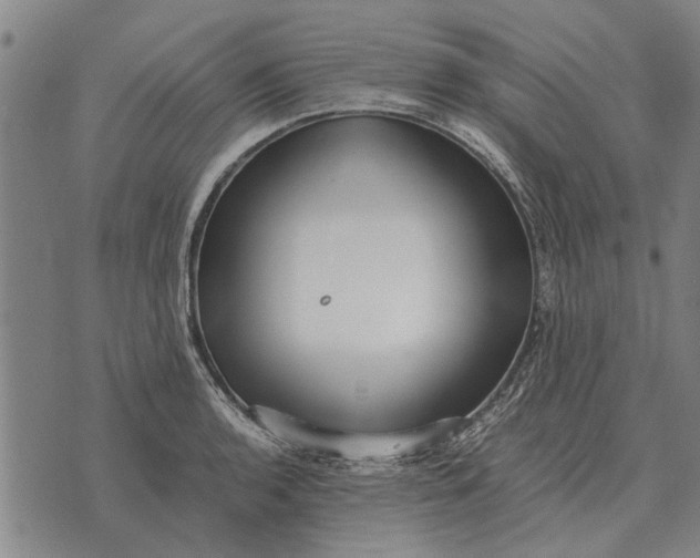 X0000073901136200609011712