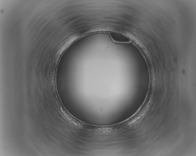 X0000073901137200609011712