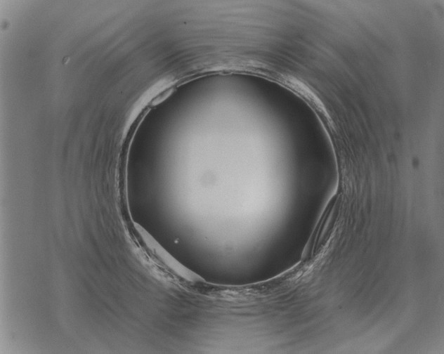 X0000073901138200609011712