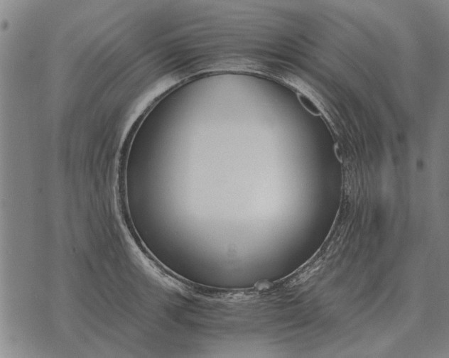 X0000073901139200609011712