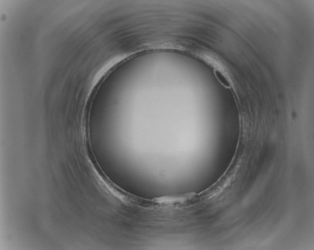 X0000073901141200609011712