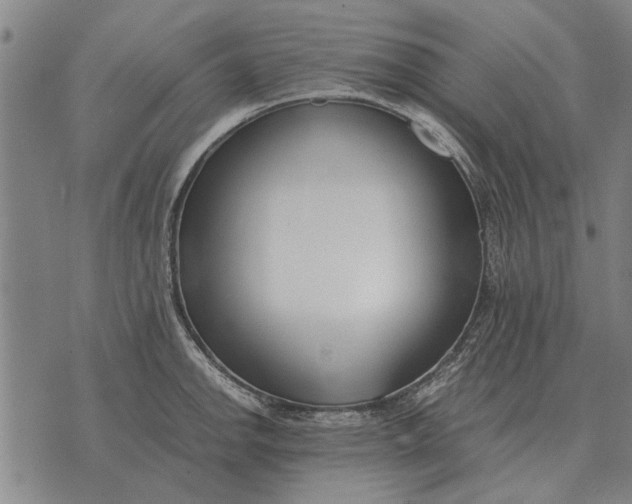 X0000073901142200609011712