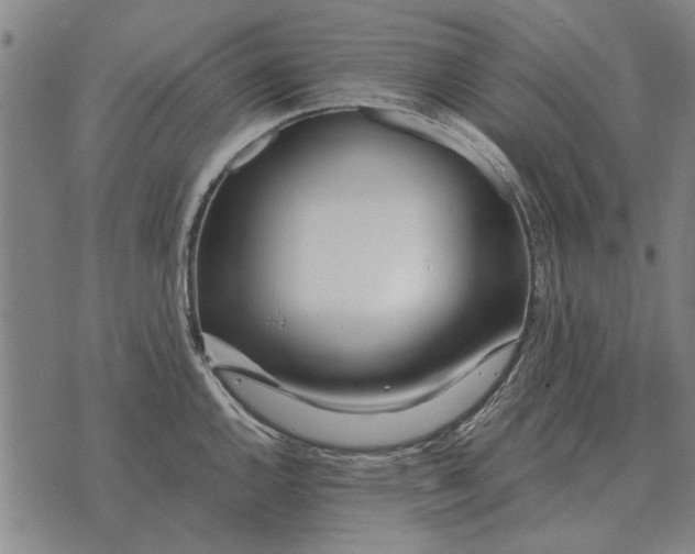 X0000073901144200609011712