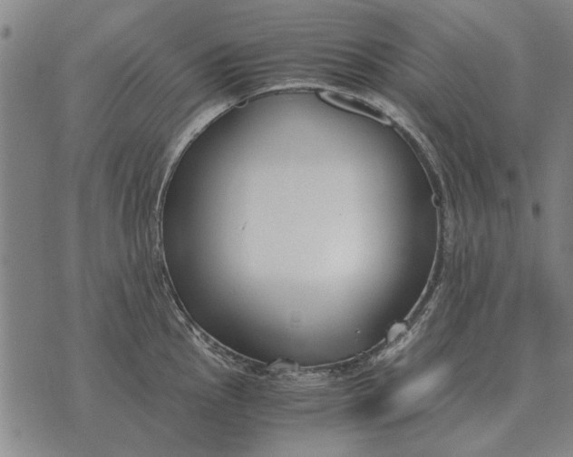 X0000073901145200609011712