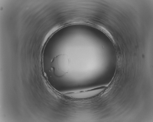 X0000073901146200609011712