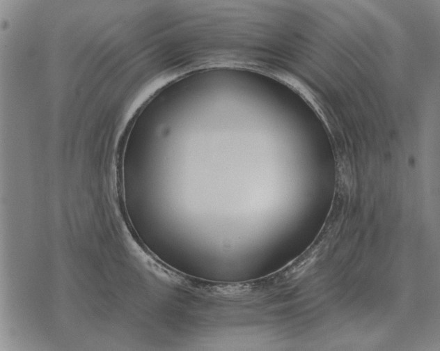 X0000073901147200609011712