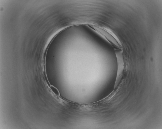 X0000073901148200609011712