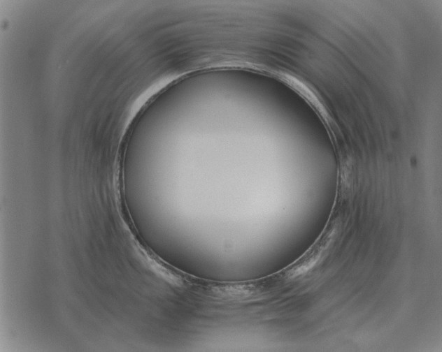 X0000073901149200609011712