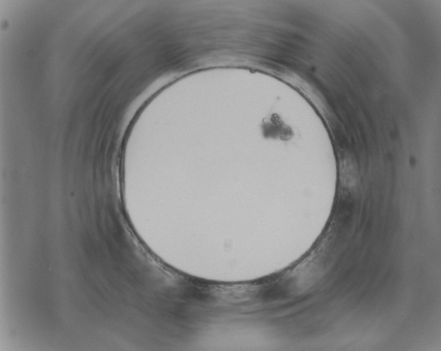 X0000073901150200609011712