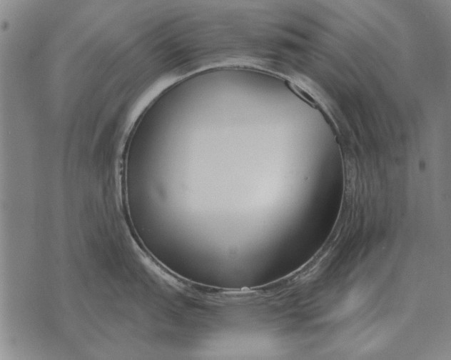 X0000073901151200609011712