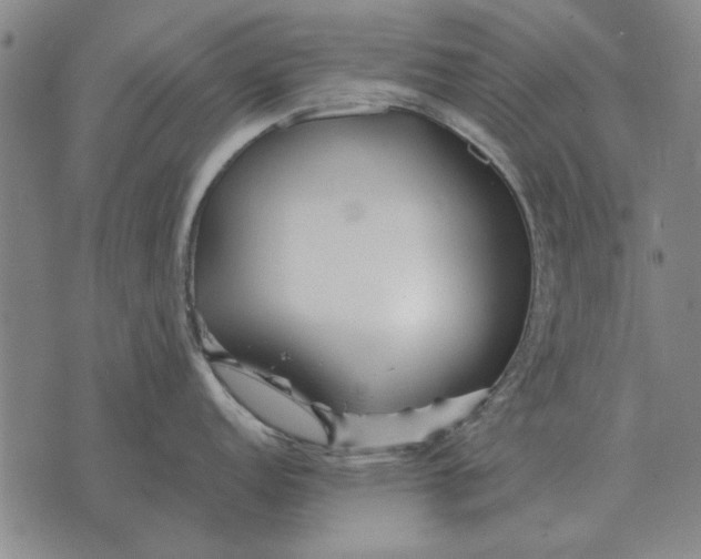 X0000073901152200609011712