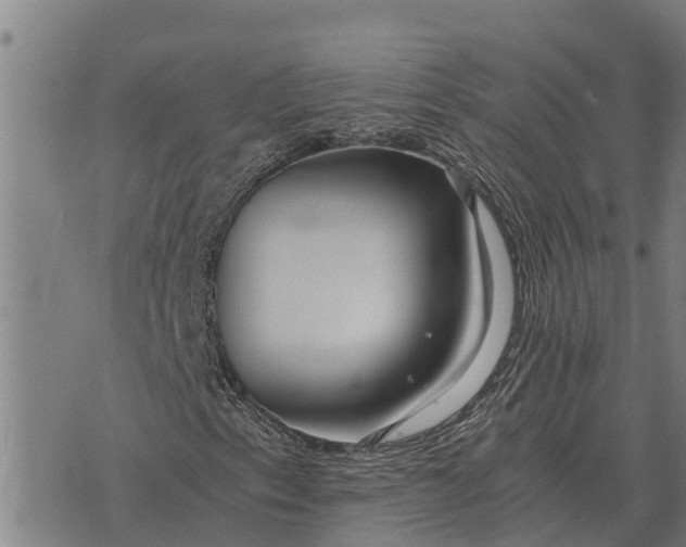 X0000073901153200609011711