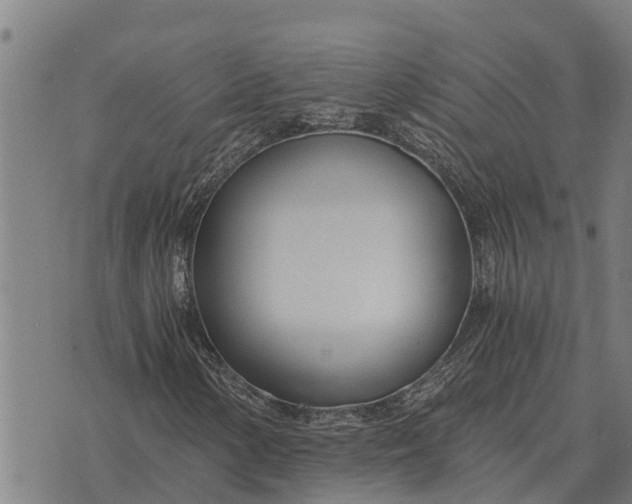 X0000073901154200609011711