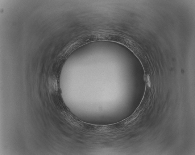 X0000073901155200609011711