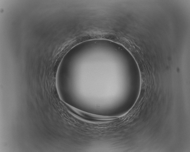 X0000073901157200609011711