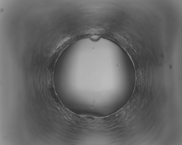 X0000073901158200609011711