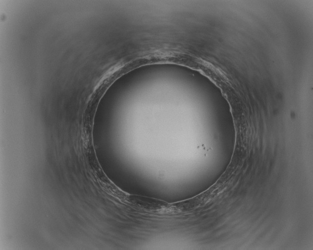 X0000073901160200609011711