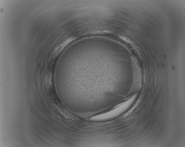 X0000073901161200609011711