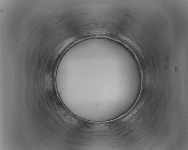 X0000073901162200609011711