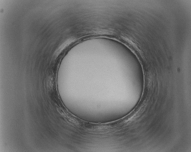 X0000073901163200609011711